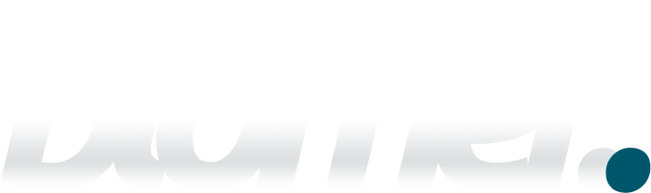 blomer-logo-2